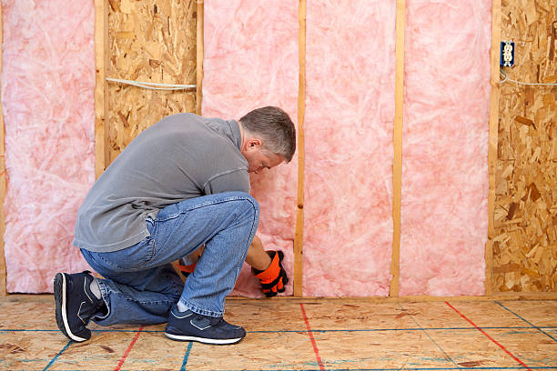 Best Cellulose Insulation in Crestline, OH